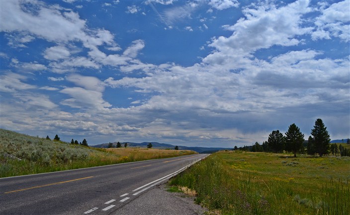 The rarest sight in Yellowstone - an empty road!